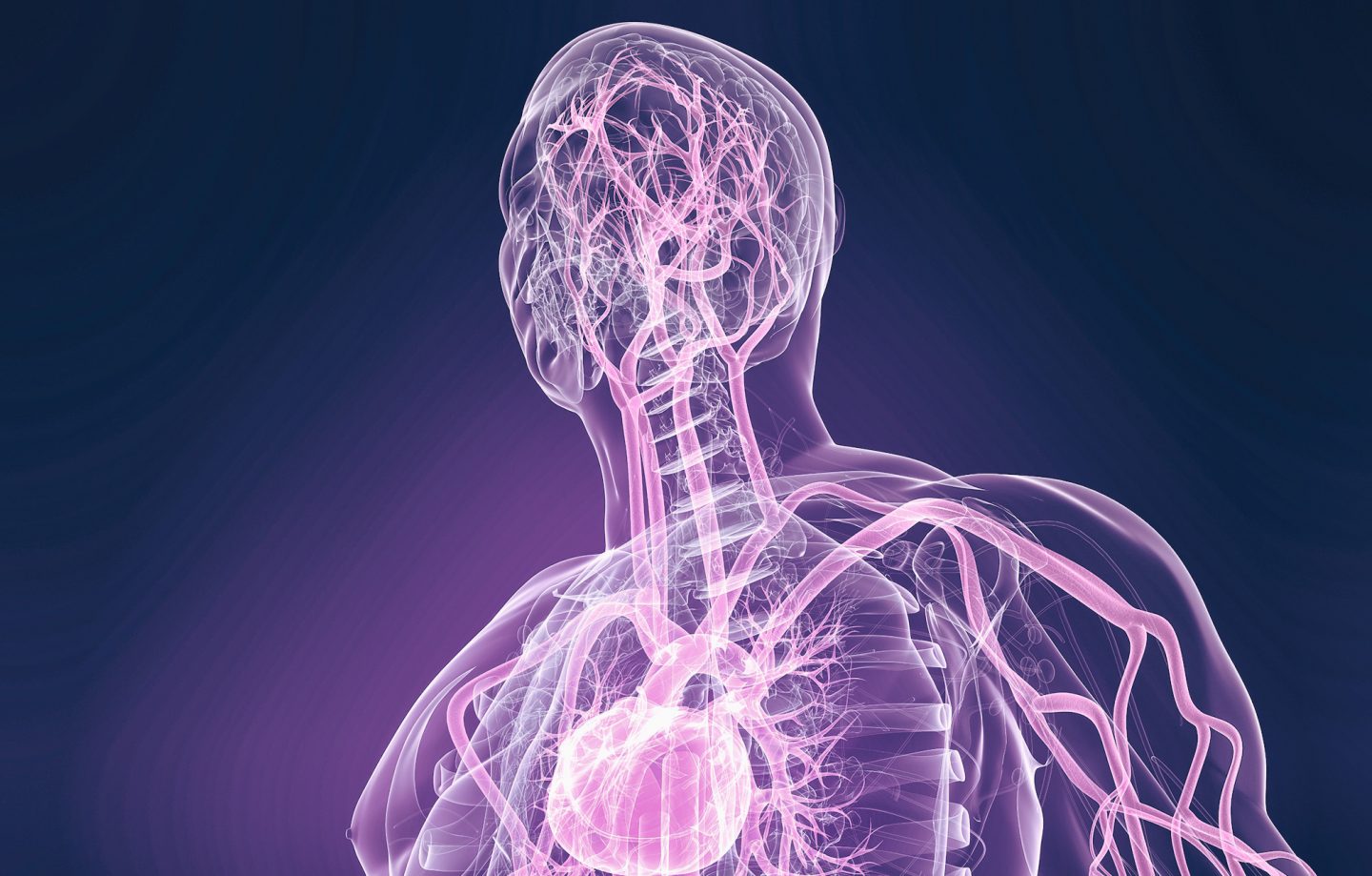 L'atlante umano in video 3D che spiega al paziente il proprio stato di salute