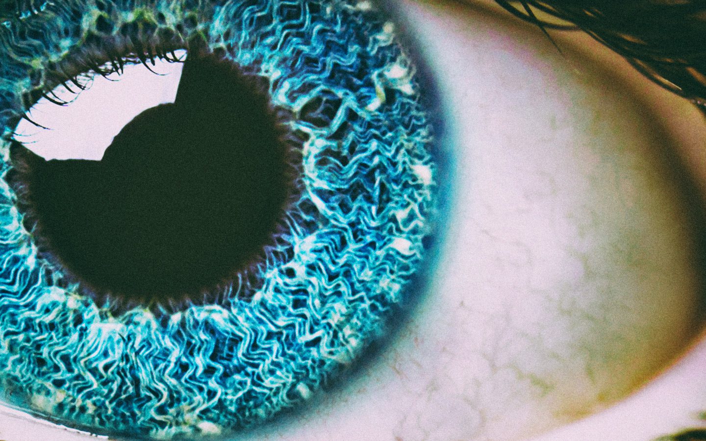 Esiste una vita dopo lo smartphone?