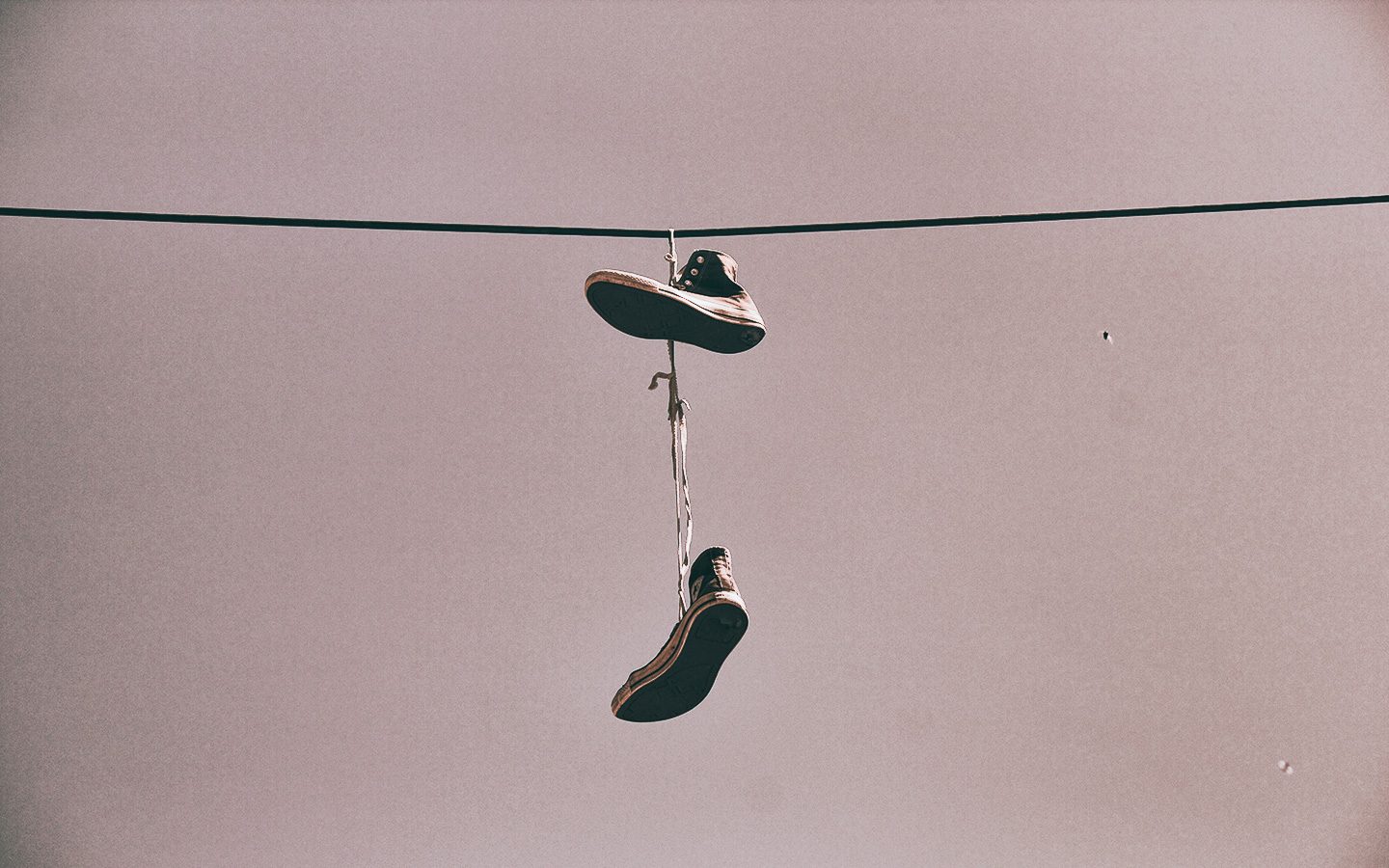 Applicazioni Web Offline