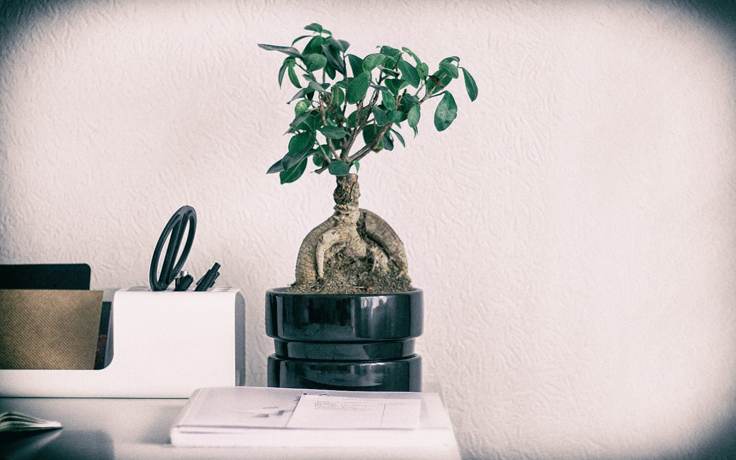 Piccole, resilienti, collaborative: i trend delle aziende biotech made in italy