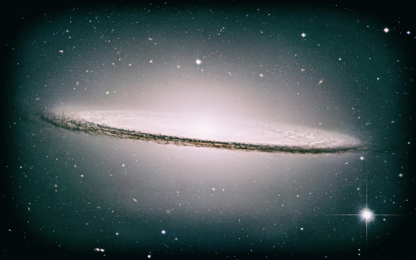 Viatom CheckMe Pro: il primo Tricorder?