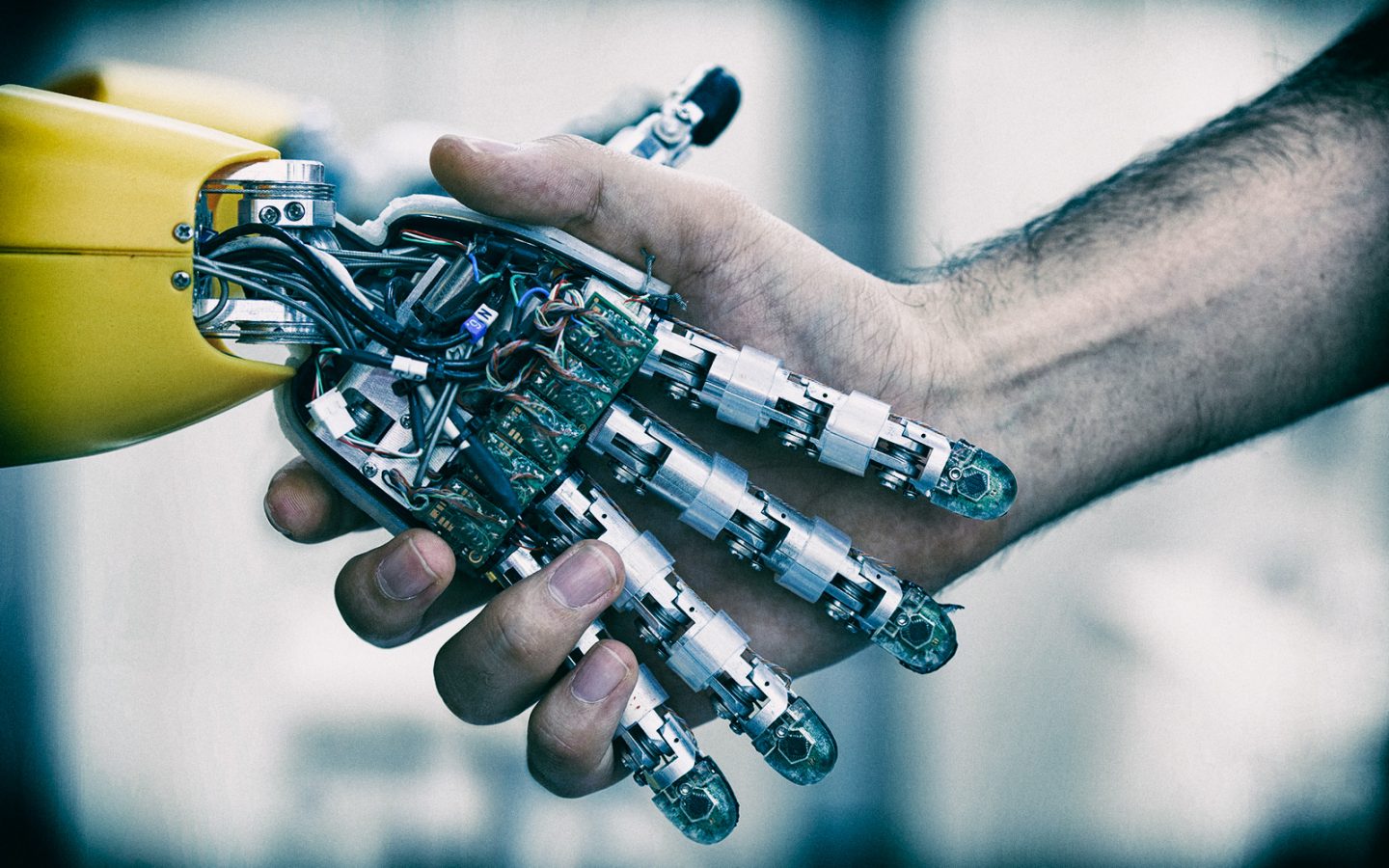 In sala operatoria il rene è espiantato con il robot