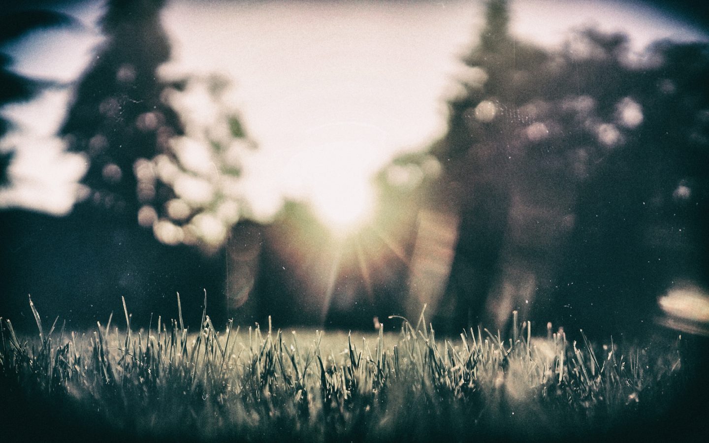 L’innovazione sostenibile in oncologia. Aspetti normativi, responsabilità condivise e le promesse dell’eHealth