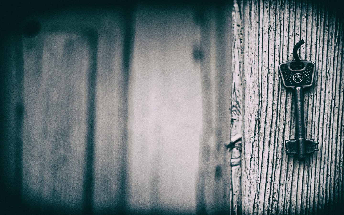 Digital Transformation: la chiave è la curiosità