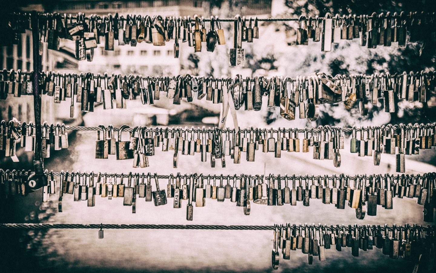 Elysium: condividere i propri dati sanitari in tutta sicurezza