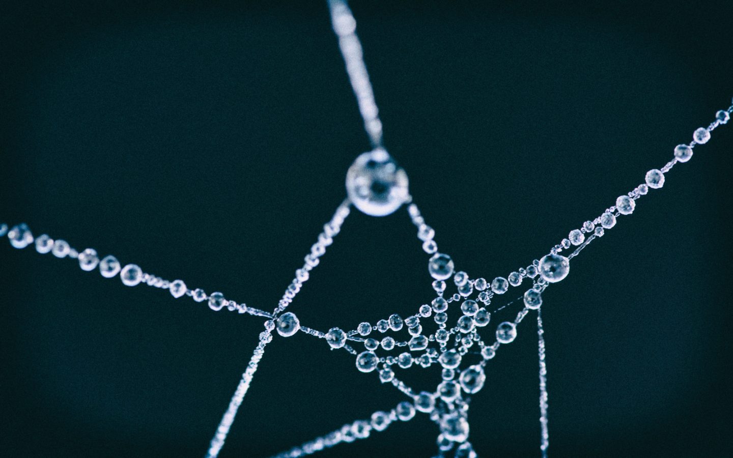 È possibile stampare organi umani in 3D?