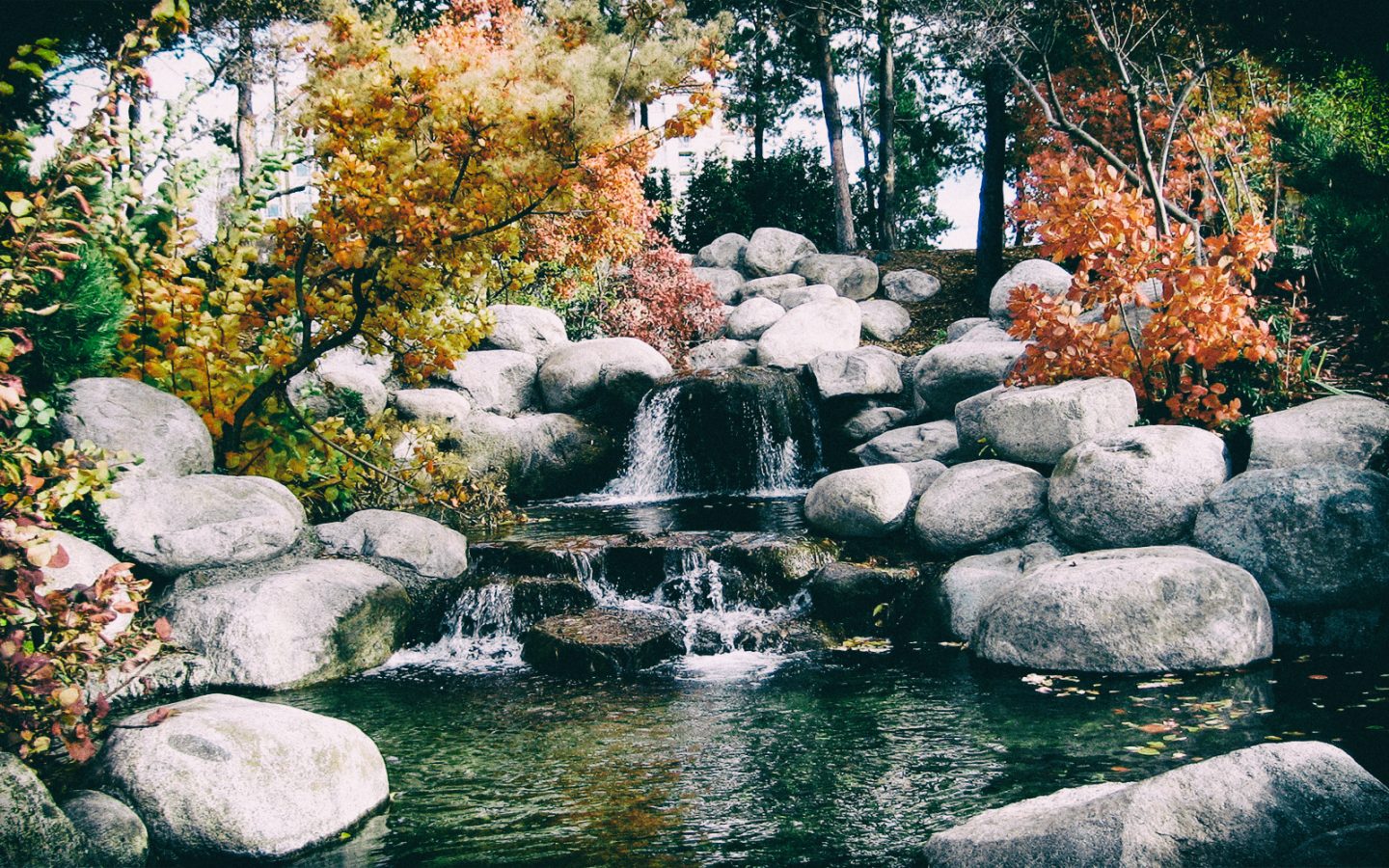 Il virtuoso ecosistema della Digital Health