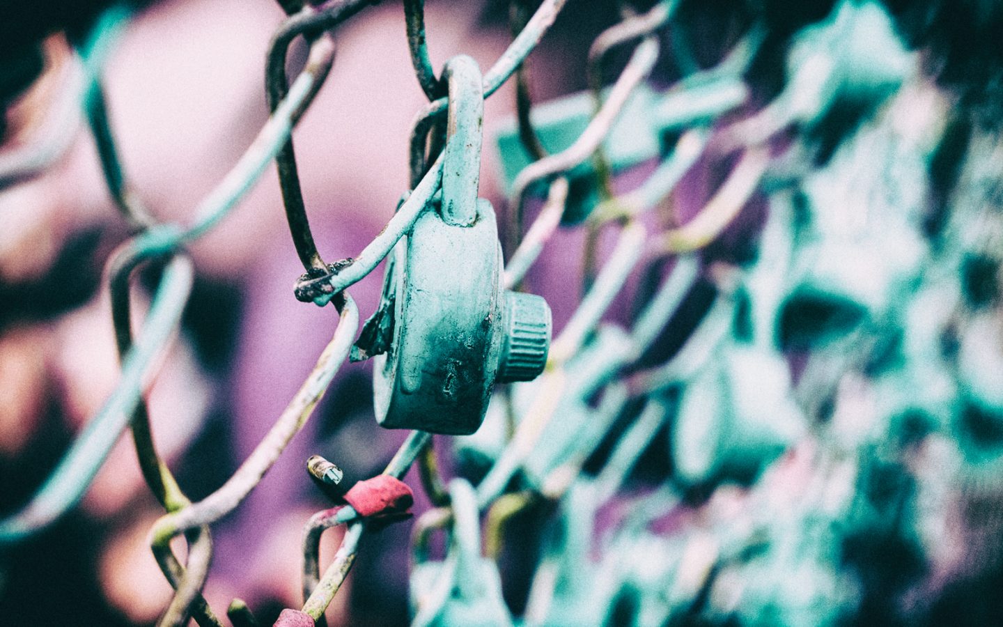 Il GDPR e le startup della Digital Health