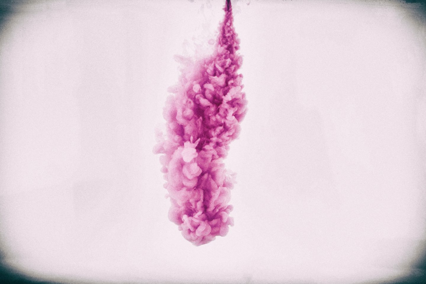 More Than Pink: a Matera premiati i progetti innovativi sul tema della salute e del benessere