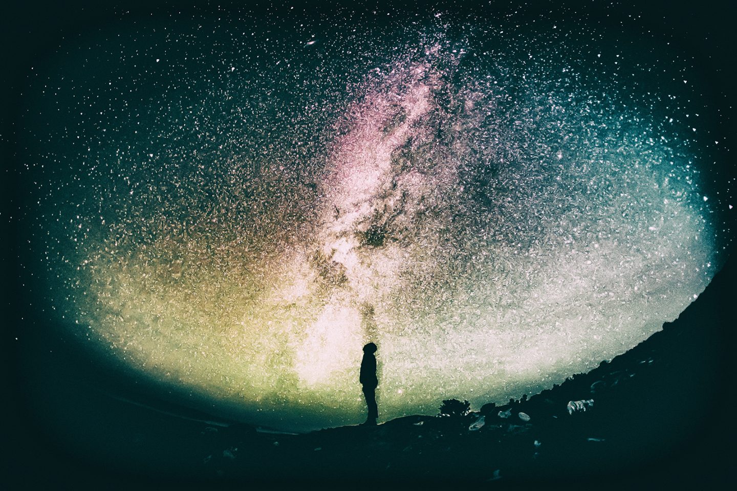 Start the future: il primo evento internazionale on line per affrontare il Covid-19