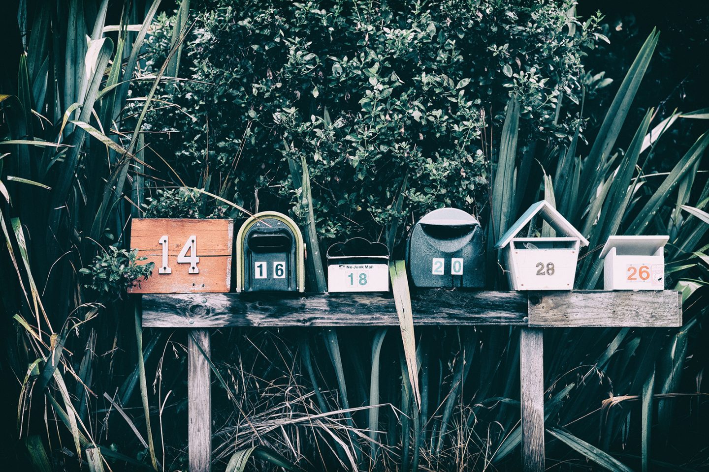 Iscriviti alla nostra newsletter